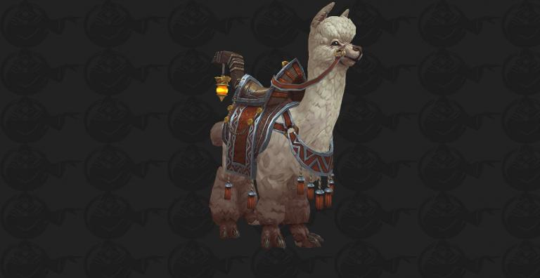 alpacawhitw.jpg